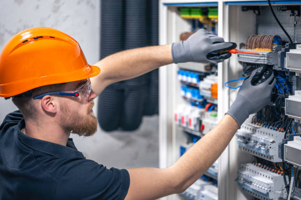 Best Home Electrical Repair  in Livonia, LA